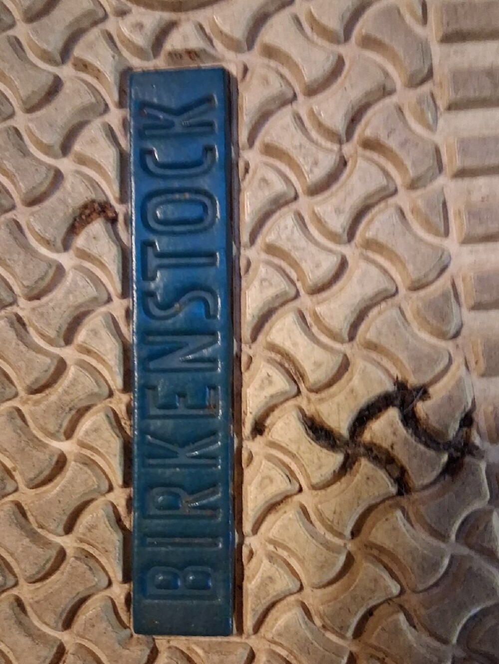 Birkenstock Blue Womens Slip-On Sandals with Dog Graphic - Picture 2 of 4